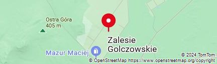 Map of co_to_znaczy_zalesie_golczowskie